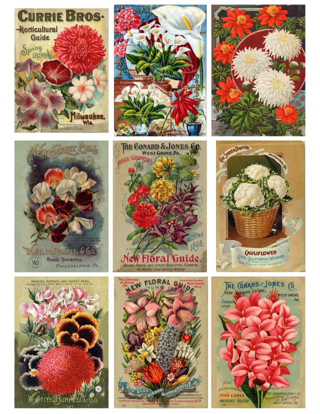 Smithsonian Seed Catalogues