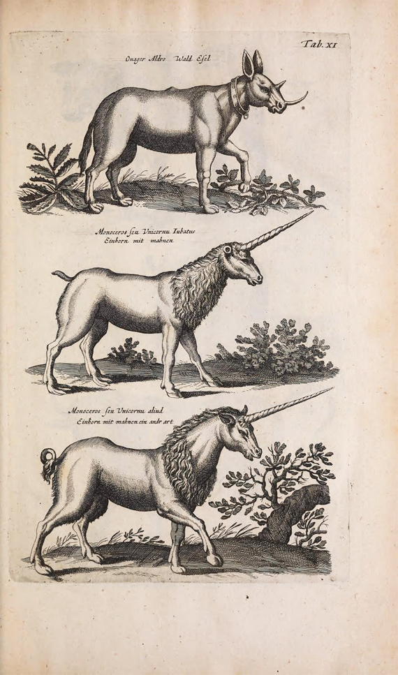 antique unicorn print